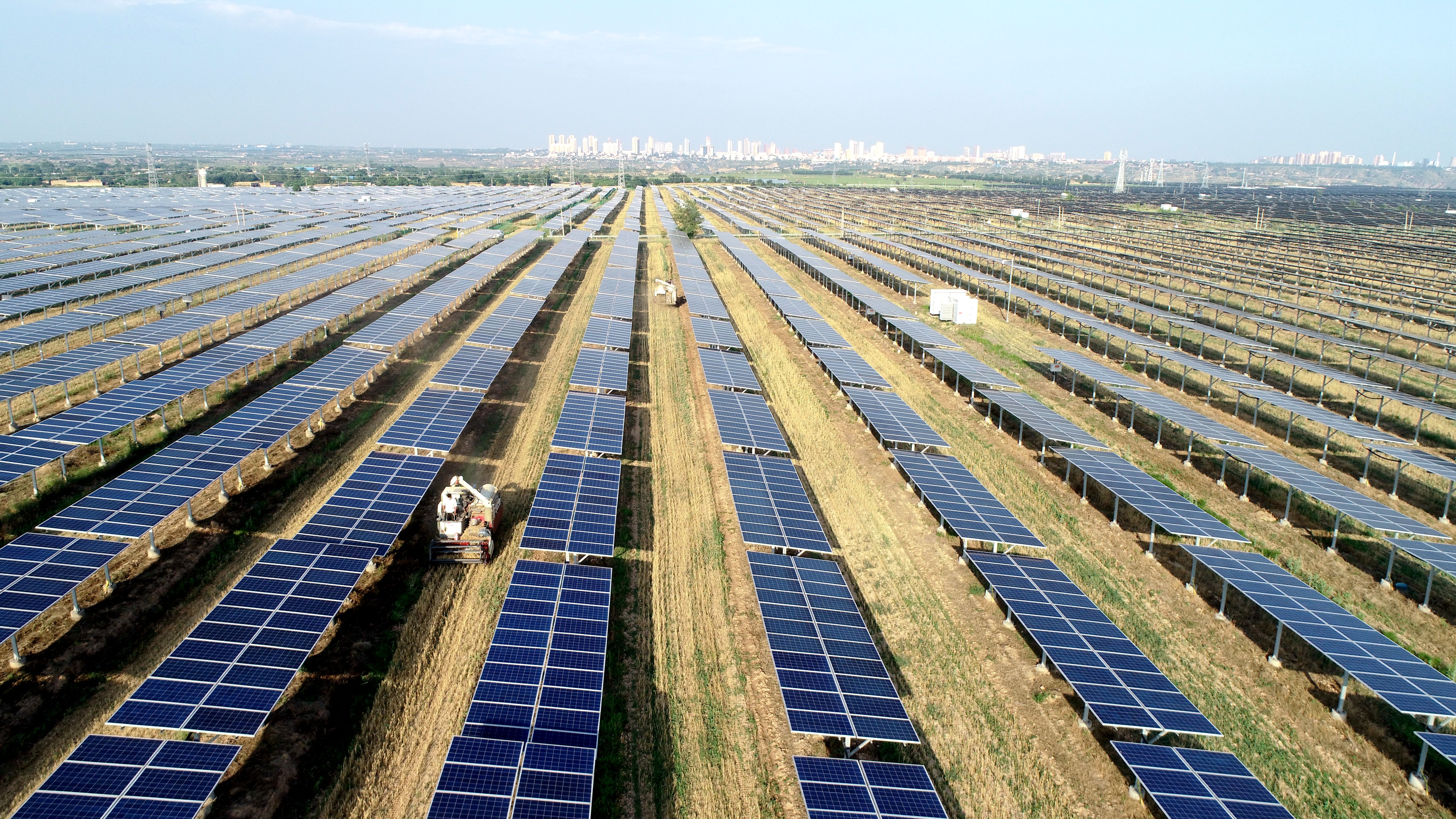 2.大唐澄城安里10萬千瓦農(nóng)光互補(bǔ)光伏電站采取“農(nóng)光互補(bǔ)”模式，不僅大大提高土地綜合利用率，還帶動當(dāng)?shù)卮迕裨诩议T口就業(yè)，促進(jìn)農(nóng)民增收。任永紅攝 .jpg