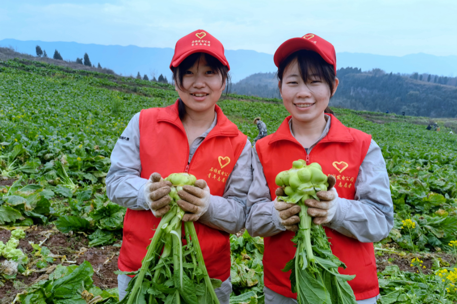 1678153966090086133.png 石柱發(fā)電公司 .png