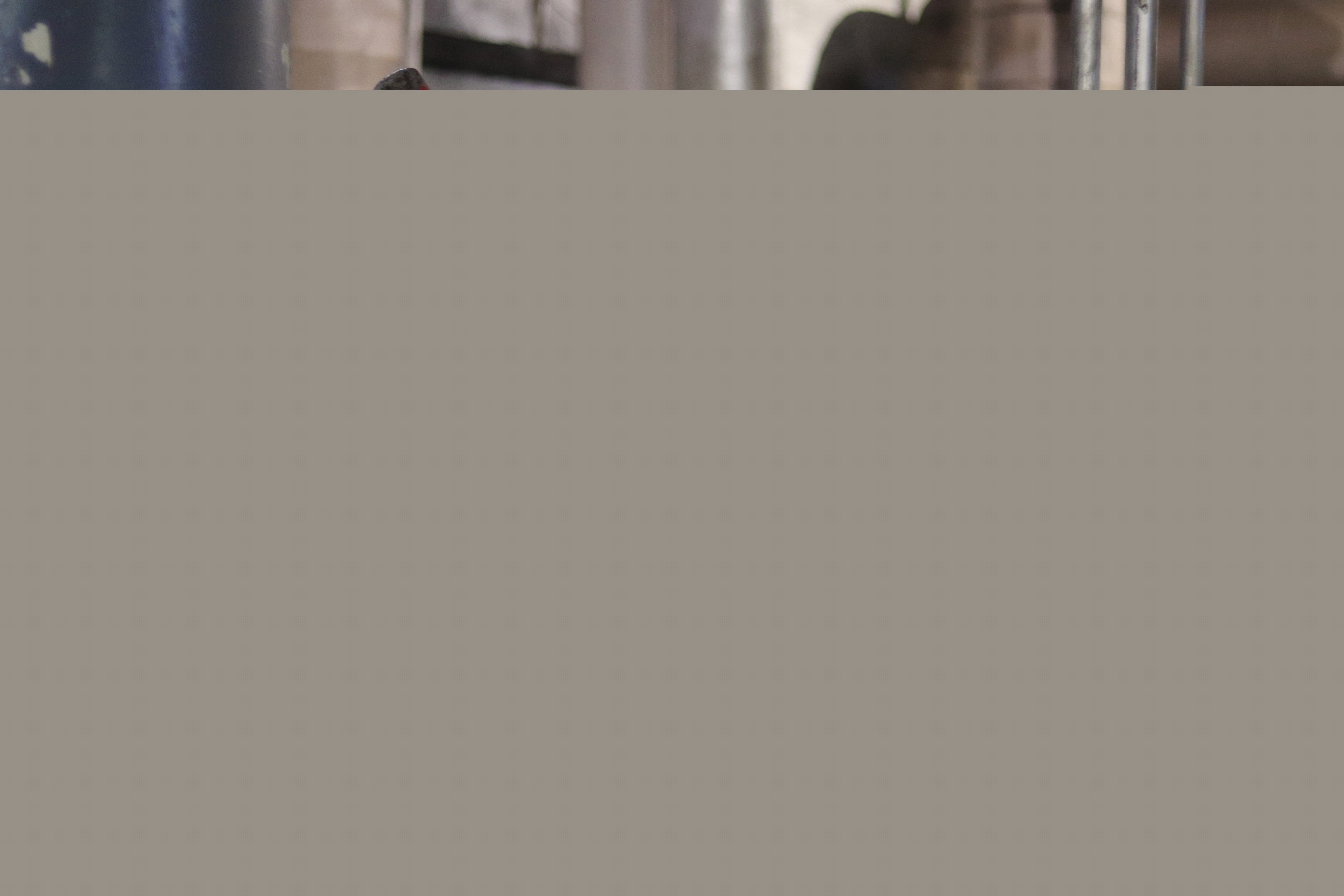 1686033621457018820.jpg 微信圖片_20230606144809.jpg