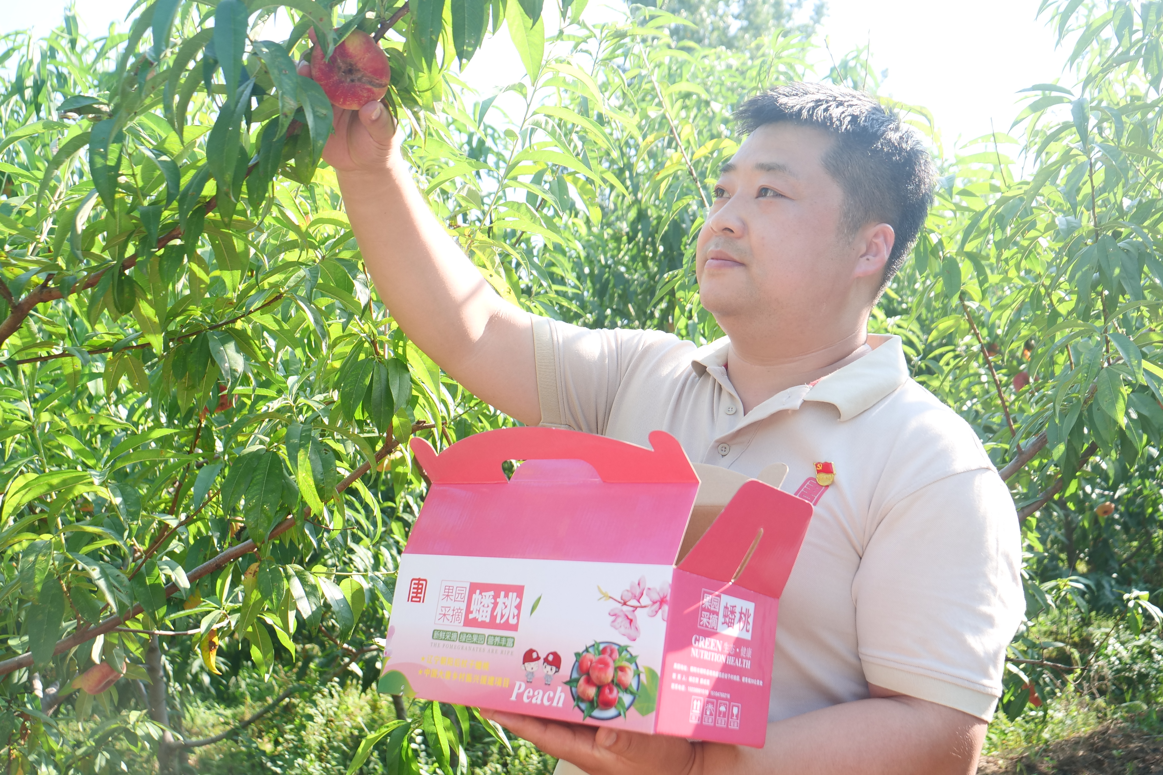 1692347415125007113.jpg 第一書記摘桃.jpg