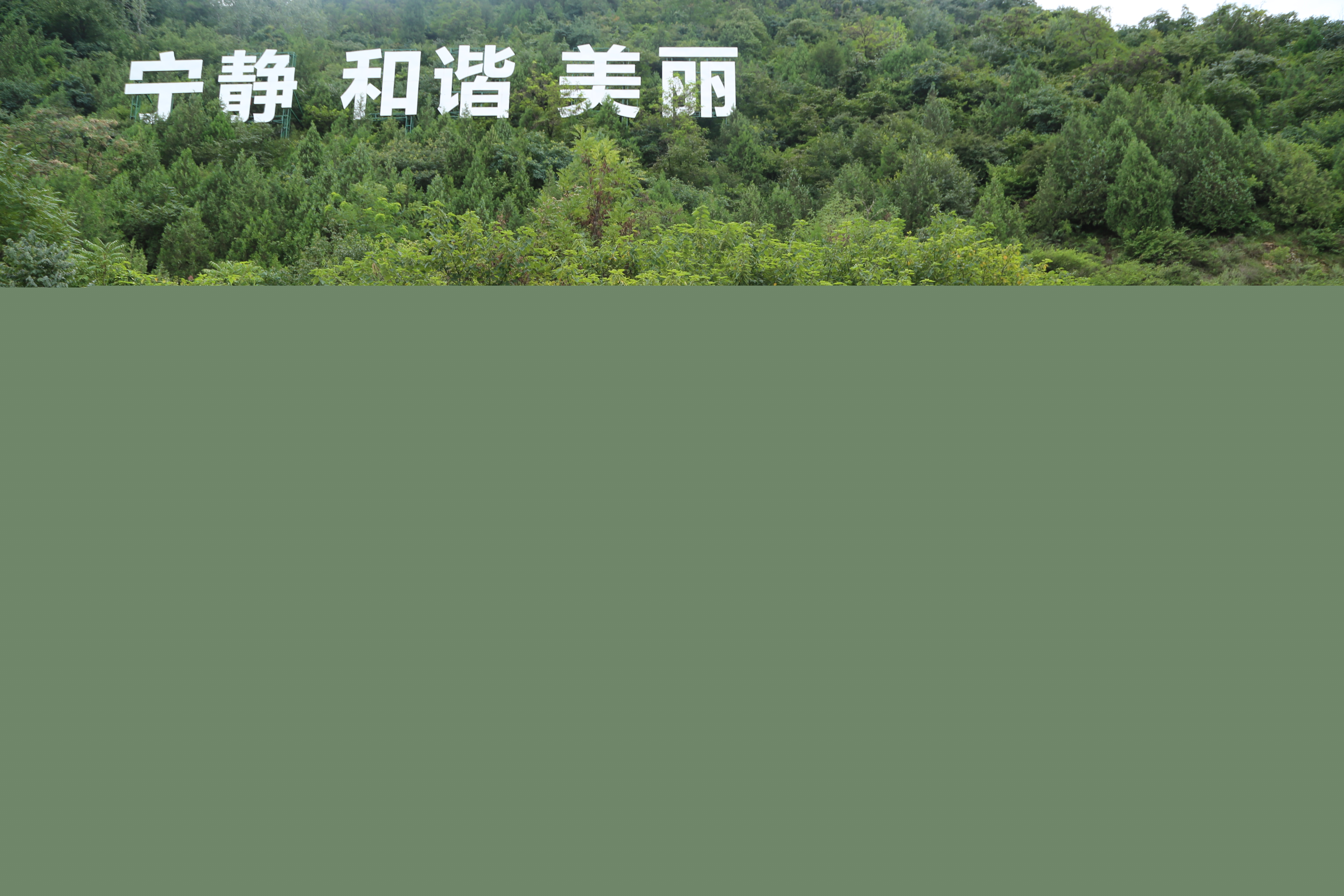 1722565382036023506.jpg 5.在西安市鄠邑區(qū)秦嶺保護(hù)站合影.jpg